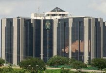 CBN targets 12.5m metric tons of maize production in 18 months