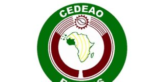 Coup: ECOWAS suspends Mali from its decision-making bodies, shuts down land, air borders