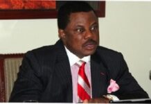 Anambra monarchs protest suspension, say “nothing warrants it"