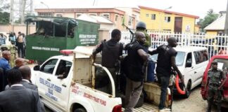 Police nab 3 over alleged armed robbery, fraud, car theft in Niger