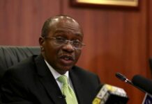 Meristem Says Unorthodox Monetary Policies Costly for Nigeria