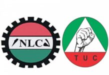 NLC, TUC suspend nationwide industrial action for 2 weeks