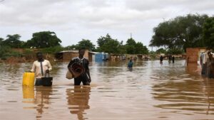 Flood Claims 17,000 Communities in Niger State -SSG