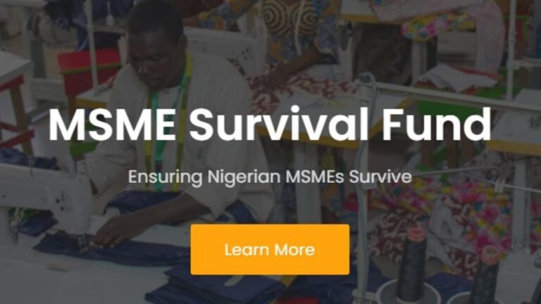 Survival Fund: FG Disburses ₦27bn, Opens Last Scheme Portal Feb. 9