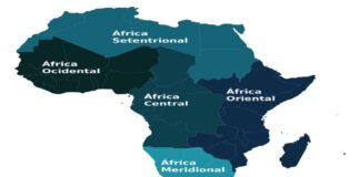 10 African Countries Face Debts Distress Risk – Report