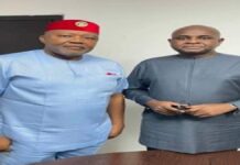Anambra governorship: Moghalu urges electorate to vote ADC candidate