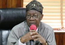 FG not treating bandits with kid-gloves – Lai Mohammed