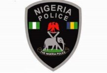 Police Arrest “spirit” Attempting to Dupe Victim of N2.2m in Borno
