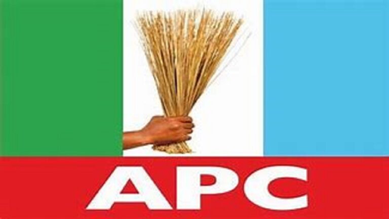 APC Convention: Delegates Express Mixed Feelings Over Organisation