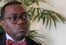 AfDB to Launch Index Bond to Address Insecurity in Africa