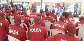 NDLEA arrests drug queen with narcotics at Lagos Airport