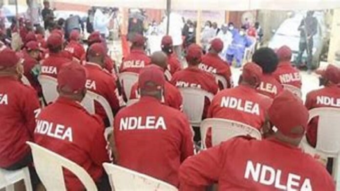 NDLEA arrests drug queen with narcotics at Lagos Airport