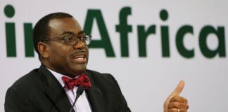 AfDB president Adesina receives Nigeria Global Brand Award
