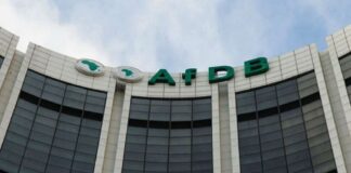 Diaspora Nigerians hail AfDB’s support for transformational projects