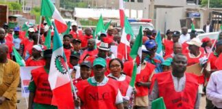 Economic Collapse: NLC criticises NGF’s recommendations to FG