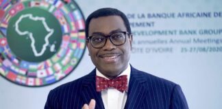 Japanese businesses should invest more in Africa —Adesina