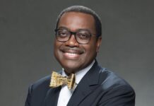 AfDB mulls mobilising $13bn for climate change — Adesina