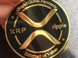 XRP Rallies, Pops 40% Return in 7-Day