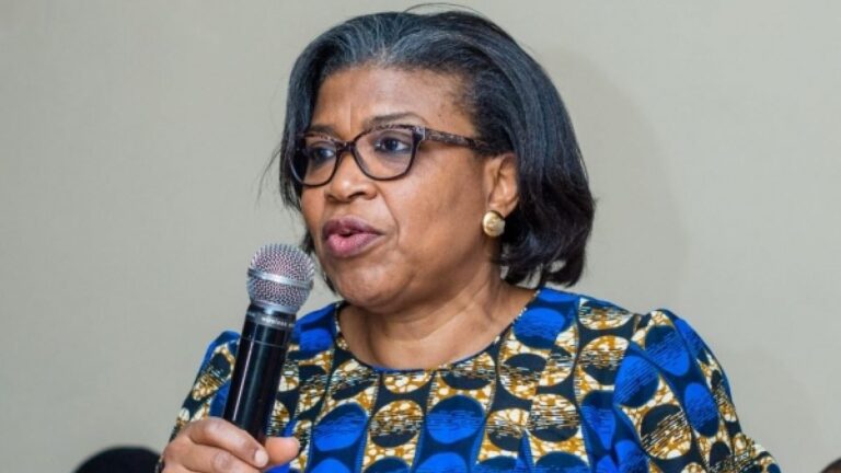 DMO to add N20trn “Ways and Means” loans to public debt stock