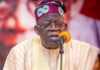 North-West is indebted to Tinubu – APC contact committee