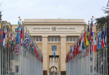 UN Pledges Support for Nigeria on SDGs