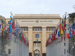 UN Pledges Support for Nigeria on SDGs