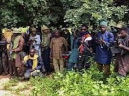 Abductors Release 21 Teenagers Taken From a Farm in Katsina State