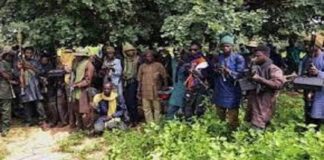 Abductors Release 21 Teenagers Taken From a Farm in Katsina State