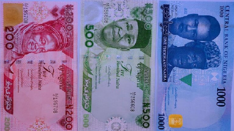 Naira Rides Soft as Nigeria Records Huge FX Outflow