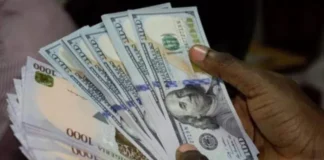 CBN Permits Banks to Sell Forex at Any Rates