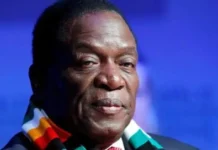 Zimbabwe Stops Foreign Currency Borrowing
