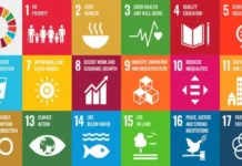Developing Countries Face $4trn Inv. Gap in SDGs – UN