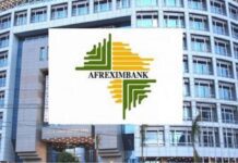 $43.7bn trade, investment deals sealed at Cairo meeting —Afreximbank