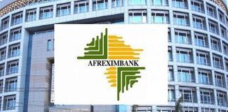 $43.7bn trade, investment deals sealed at Cairo meeting —Afreximbank