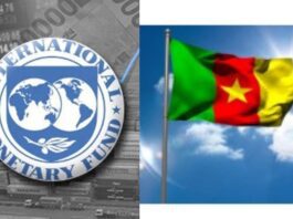 The International Monetary Fund (IMF) and Cameroon government have reached a staff-level agreement on policies required to unlock financial support worth about $73 million, according to a statement released by the multilateral lender.