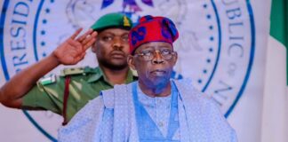 Tinubu Appoints 10 Board Members for Finance Ministry, 2 for Customs Service