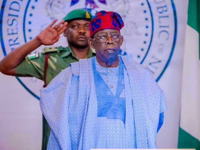 Tinubu Appoints 10 Board Members for Finance Ministry, 2 for Customs Service