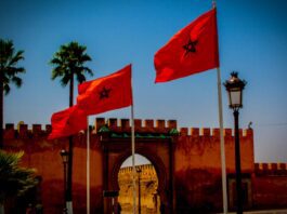 Morocco's King Mohammed VI opened the 2023 Africa Investment Forum Market Days on Wednesday with a call for Africans to work together to attract the levels of private investment needed to drive the continent's inclusive development.