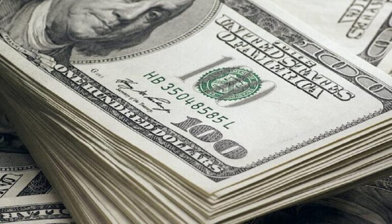Futureview US Dollar Fund Return Hits 7.42%