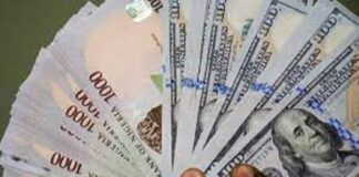 In Nigeria, the exchange rate gap between the official and black market has widened as US dollar challenges persist. Government effort to drive foreign currency inflow has yet to yield results.