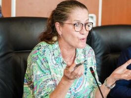 Germany Sees Nigeria as Strong Partner in Preserving Int’l Order – Ambassador