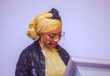 Hannatu Musawa, Minister of Arts, Culture and Creative Economy, says plans are underway to reposition the video game animation industry in Nigeria.