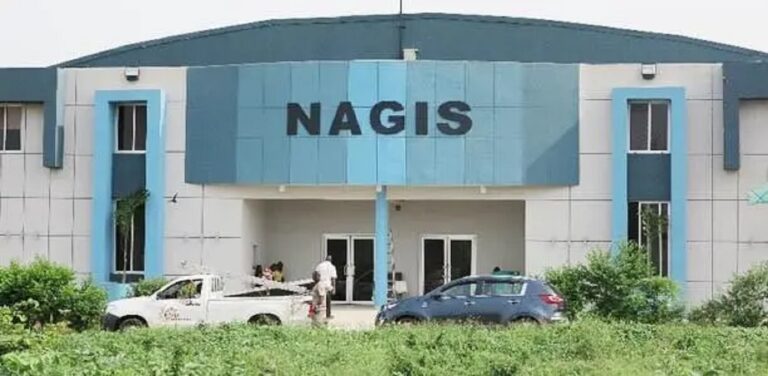 Nasarawa: NAGIS Generates N912m Revenue in 11 Months, Says D-G