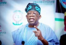 President Bola Tinubu has called for German investment in critical sectors of Nigerian economy such as power and rail transportation.