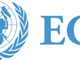 Economic Commission for Africa (ECA)