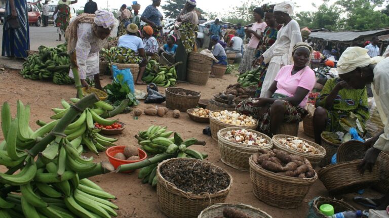 Food inflation: Dry Season Farming to The Rescue?