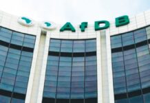Africans Must Unite to Mobilise, Manage Productive Resources – AfDB