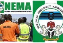 NEMA Launches “Operation Eagle Eye” for Safe Driving During Yuletide