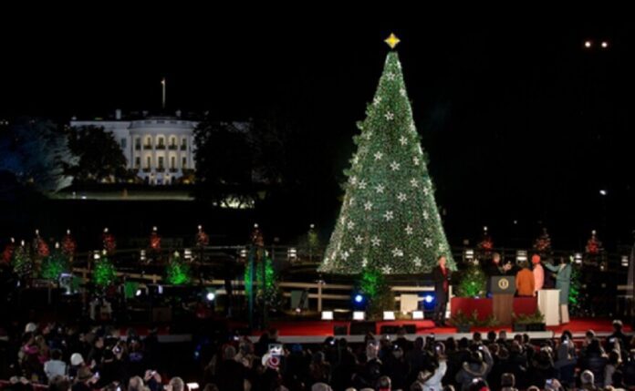 Yuletide: Organisation to Light 85-Feet Christmas Tree in FCT