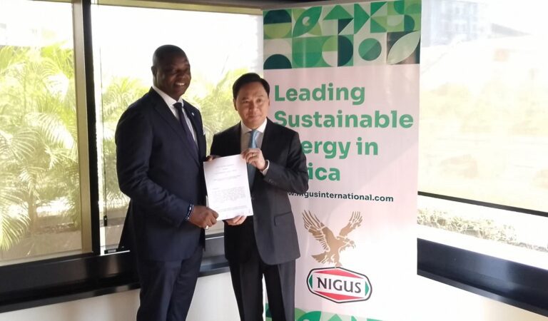 Chinese, Nigerian Firms Sign $1bn Gas Flaring Deal